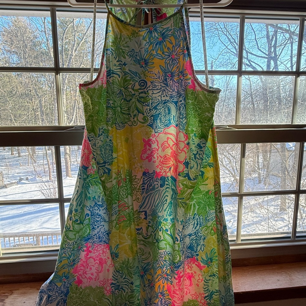 Lilly Pulitzer Multicolor Floral Dress